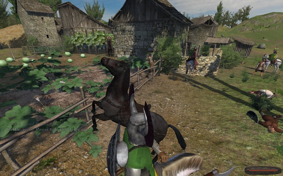 Image from the game Mount & Blade (2008)